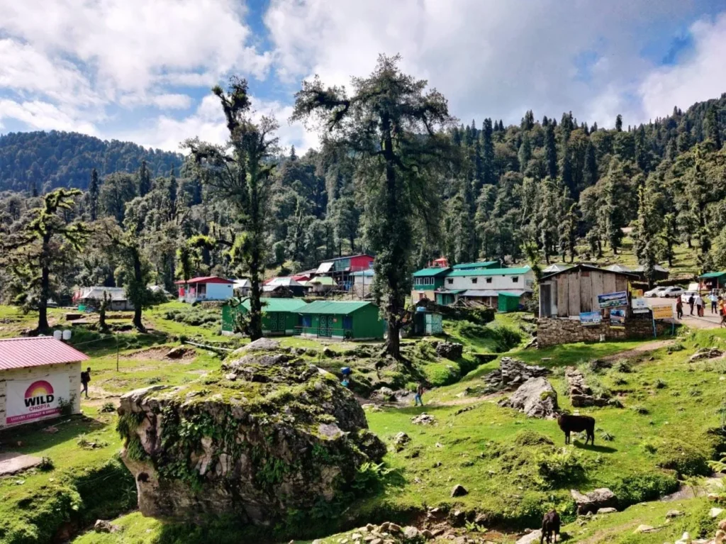 चोपता: उत्तराखंड का मिनी स्विट्जरलैंड, तुंगनाथ और चंद्रशिला ट्रेक का प्रवेश द्वार